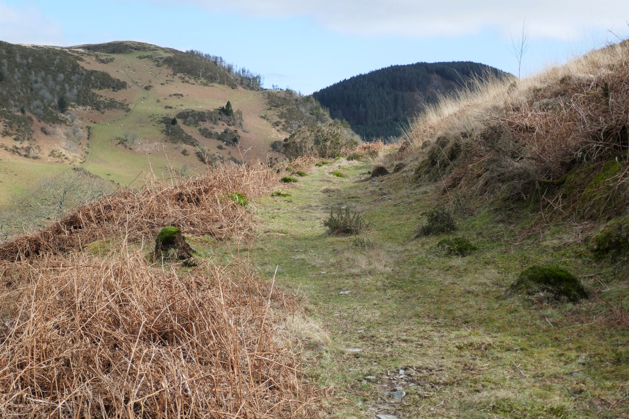 RachelSeabrook.net | Wild Walking | Cwm Cyneiniog and Craig y Pistyll | pic04